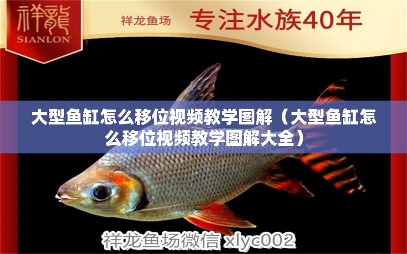 大型魚缸怎么移位視頻教學(xué)圖解（大型魚缸怎么移位視頻教學(xué)圖解大全）