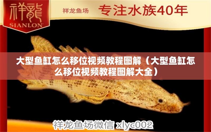 大型魚(yú)缸怎么移位視頻教程圖解（大型魚(yú)缸怎么移位視頻教程圖解大全） 其他品牌魚(yú)缸