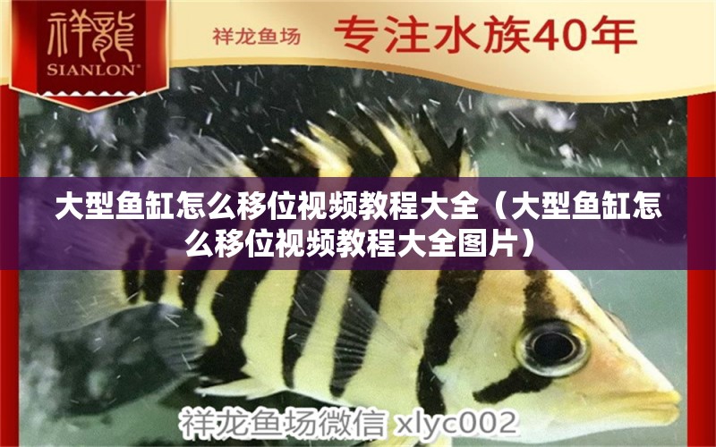 大型魚缸怎么移位視頻教程大全（大型魚缸怎么移位視頻教程大全圖片）