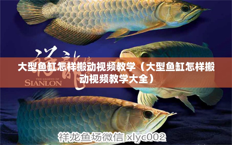 大型魚缸怎樣搬動(dòng)視頻教學(xué)（大型魚缸怎樣搬動(dòng)視頻教學(xué)大全）