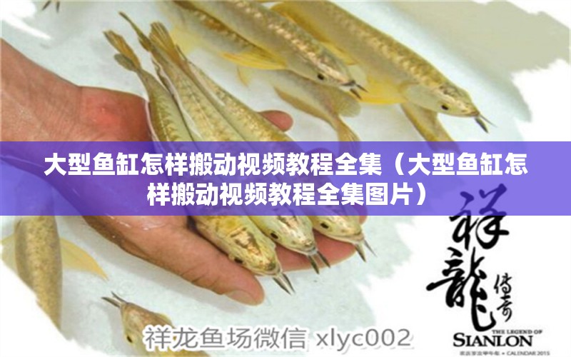 大型魚缸怎樣搬動(dòng)視頻教程全集（大型魚缸怎樣搬動(dòng)視頻教程全集圖片）