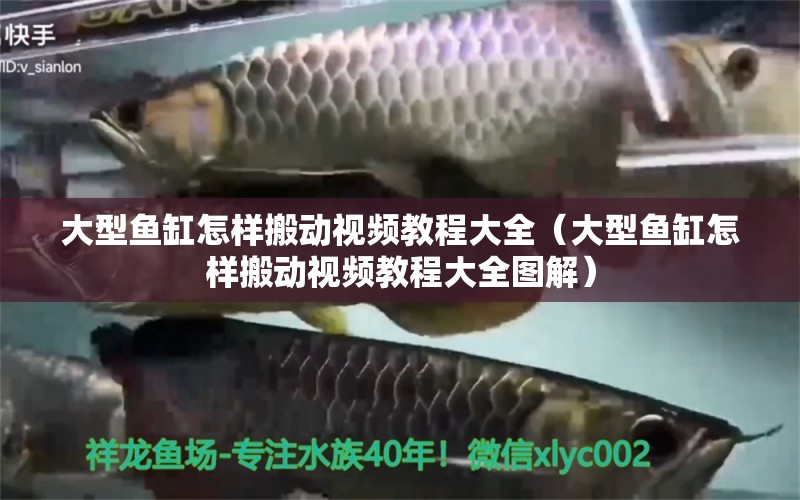 大型魚缸怎樣搬動(dòng)視頻教程大全（大型魚缸怎樣搬動(dòng)視頻教程大全圖解）