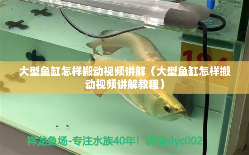 大型魚缸怎樣搬動(dòng)視頻講解（大型魚缸怎樣搬動(dòng)視頻講解教程）