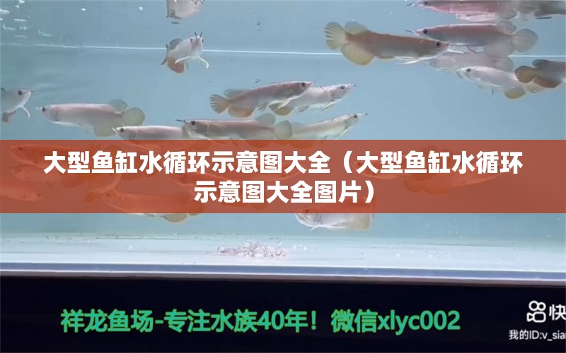 大型魚缸水循環(huán)示意圖大全（大型魚缸水循環(huán)示意圖大全圖片）