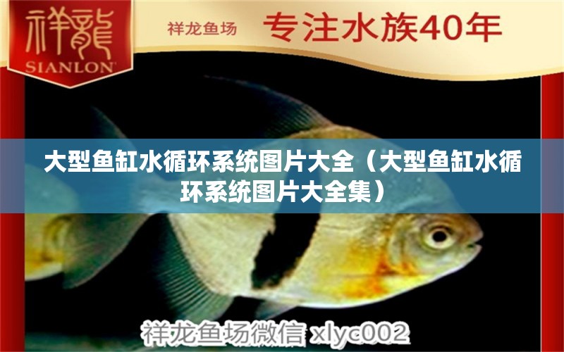 大型魚(yú)缸水循環(huán)系統(tǒng)圖片大全（大型魚(yú)缸水循環(huán)系統(tǒng)圖片大全集） 其他品牌魚(yú)缸