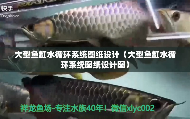 大型魚缸水循環(huán)系統(tǒng)圖紙?jiān)O(shè)計(jì)（大型魚缸水循環(huán)系統(tǒng)圖紙?jiān)O(shè)計(jì)圖）