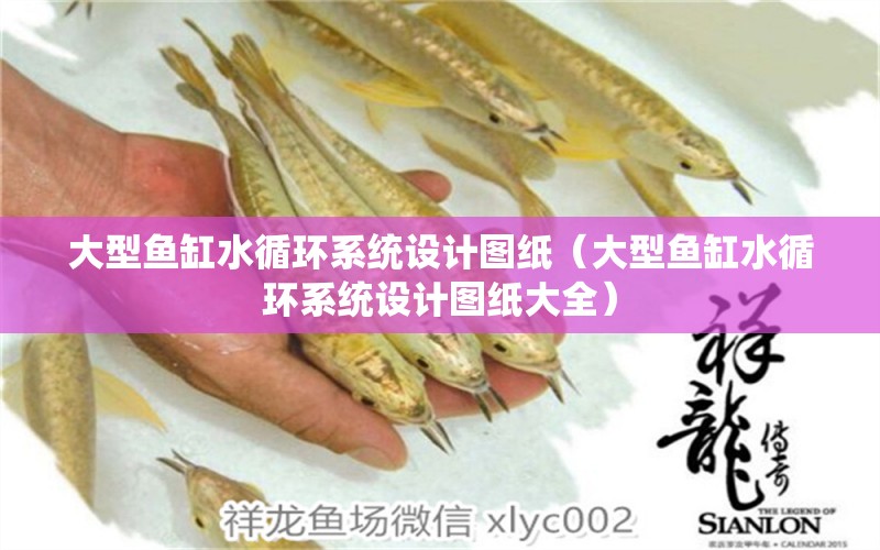 大型魚缸水循環(huán)系統(tǒng)設計圖紙（大型魚缸水循環(huán)系統(tǒng)設計圖紙大全） 其他品牌魚缸