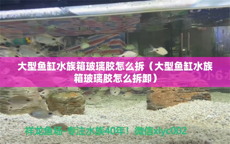 大型魚缸水族箱玻璃膠怎么拆（大型魚缸水族箱玻璃膠怎么拆卸） 魚缸/水族箱