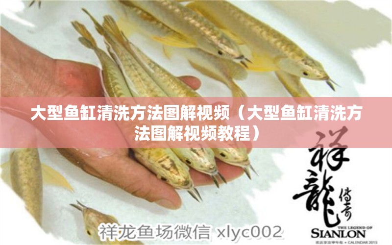 大型魚缸清洗方法圖解視頻（大型魚缸清洗方法圖解視頻教程） 鐵甲武士