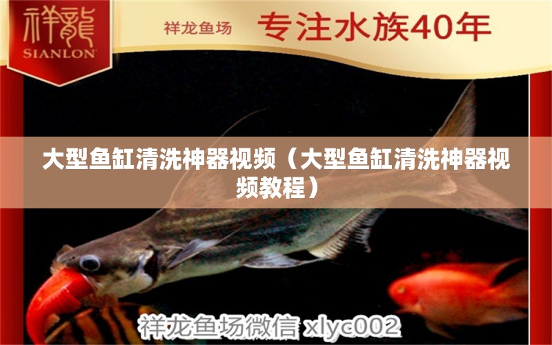 大型魚缸清洗神器視頻（大型魚缸清洗神器視頻教程）