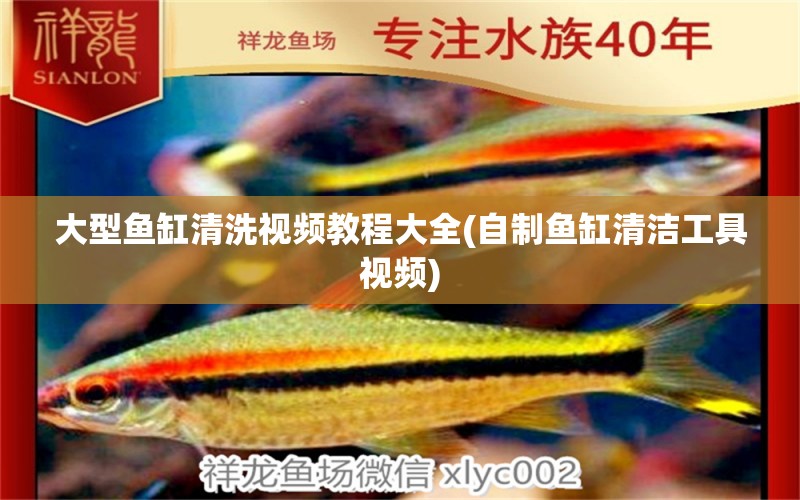 大型魚缸清洗視頻教程大全(自制魚缸清潔工具視頻) 三間鼠魚