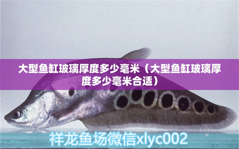 大型魚缸玻璃厚度多少毫米（大型魚缸玻璃厚度多少毫米合適） 其他品牌魚缸