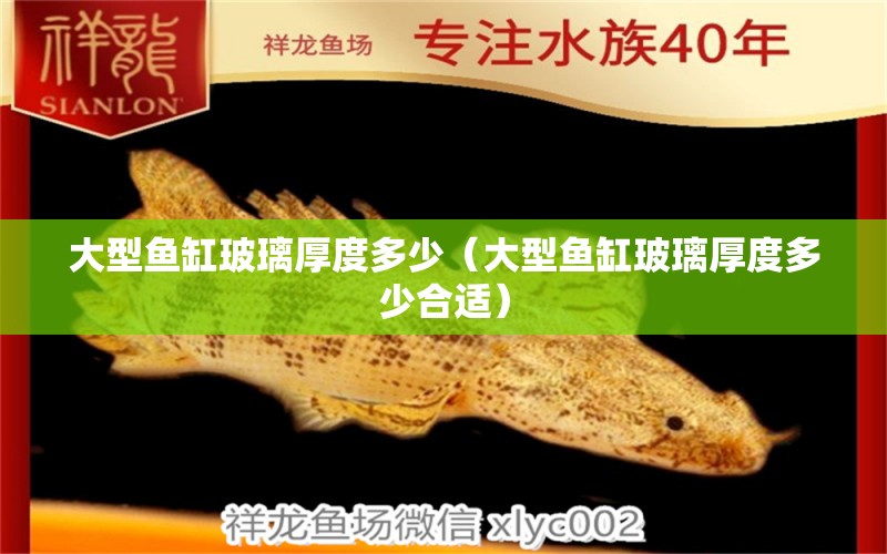 大型魚缸玻璃厚度多少（大型魚缸玻璃厚度多少合適） 其他品牌魚缸