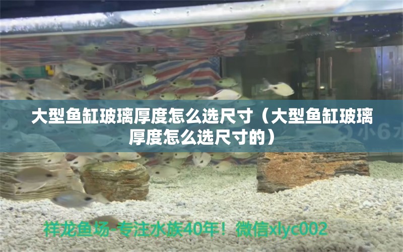 大型魚缸玻璃厚度怎么選尺寸（大型魚缸玻璃厚度怎么選尺寸的） 其他品牌魚缸