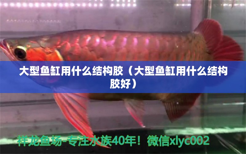 大型魚缸用什么結(jié)構(gòu)膠（大型魚缸用什么結(jié)構(gòu)膠好）