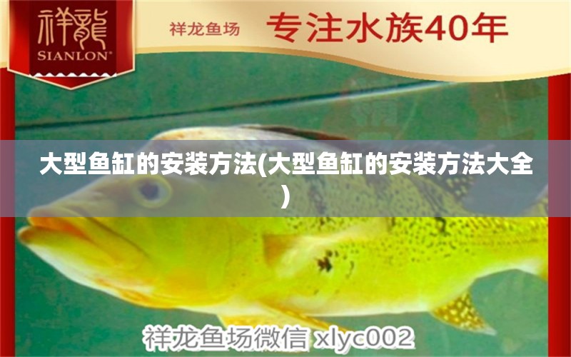 大型魚缸的安裝方法(大型魚缸的安裝方法大全) 麥肯斯銀版魚