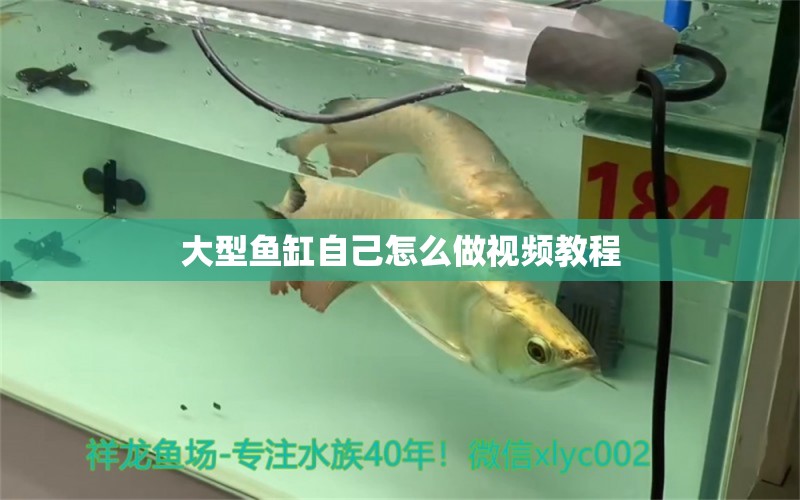 大型魚缸自己怎么做視頻教程