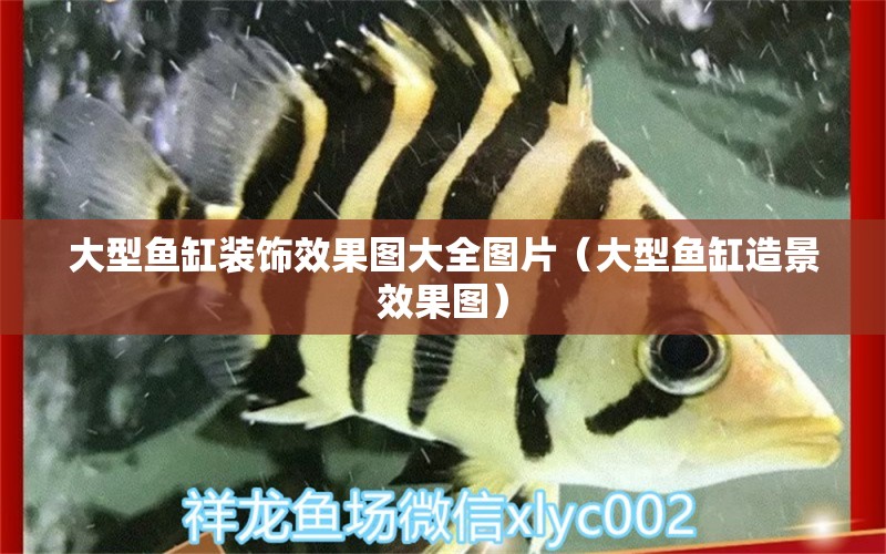 大型魚(yú)缸裝飾效果圖大全圖片（大型魚(yú)缸造景效果圖） 廣州觀賞魚(yú)批發(fā)市場(chǎng)