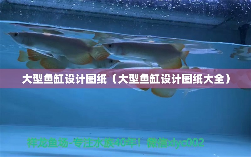 大型魚缸設(shè)計(jì)圖紙（大型魚缸設(shè)計(jì)圖紙大全）