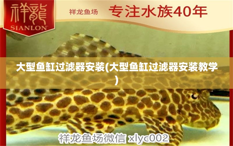 大型魚缸過濾器安裝(大型魚缸過濾器安裝教學(xué))