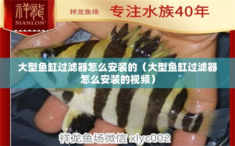 大型魚缸過濾器怎么安裝的（大型魚缸過濾器怎么安裝的視頻） 其他品牌魚缸