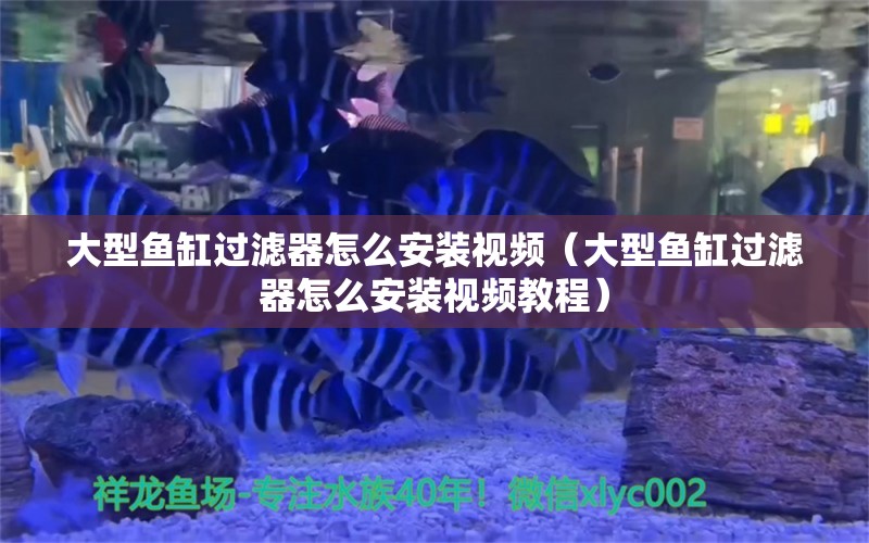 大型魚缸過濾器怎么安裝視頻（大型魚缸過濾器怎么安裝視頻教程）