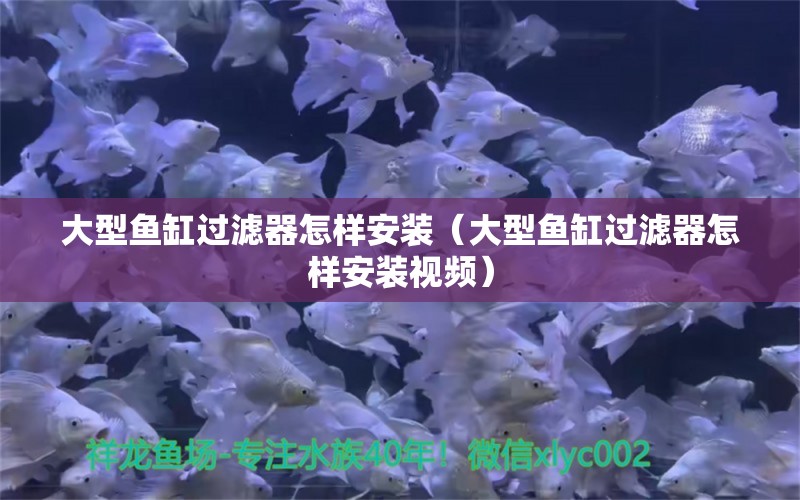 大型魚缸過濾器怎樣安裝（大型魚缸過濾器怎樣安裝視頻）