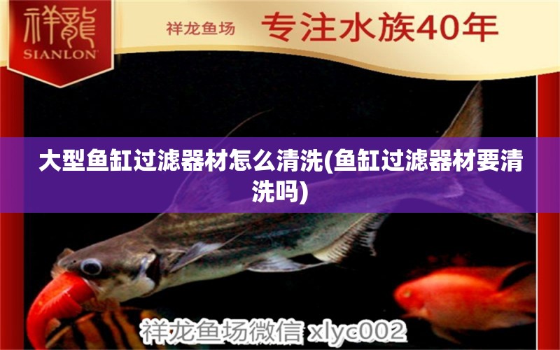 大型魚缸過濾器材怎么清洗(魚缸過濾器材要清洗嗎) 黑桃A魚苗