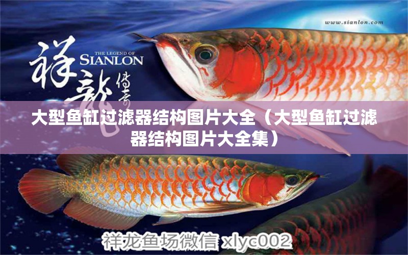 大型魚缸過濾器結(jié)構(gòu)圖片大全（大型魚缸過濾器結(jié)構(gòu)圖片大全集）