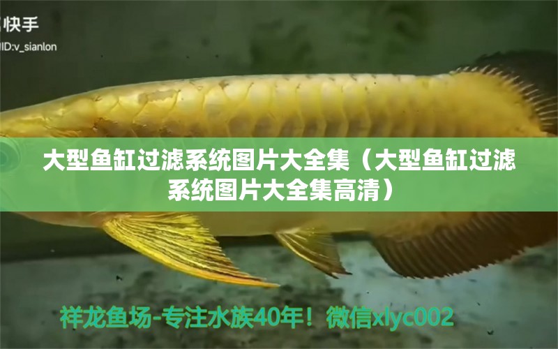 大型魚缸過濾系統(tǒng)圖片大全集（大型魚缸過濾系統(tǒng)圖片大全集高清）