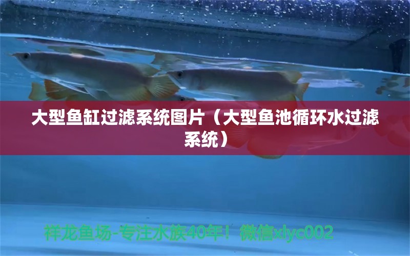 大型魚缸過(guò)濾系統(tǒng)圖片（大型魚池循環(huán)水過(guò)濾系統(tǒng)） iwish愛唯希品牌魚缸