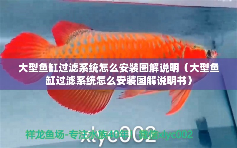 大型魚缸過濾系統(tǒng)怎么安裝圖解說明（大型魚缸過濾系統(tǒng)怎么安裝圖解說明書）