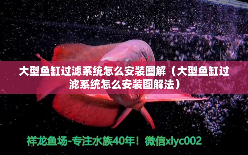 大型魚缸過濾系統(tǒng)怎么安裝圖解（大型魚缸過濾系統(tǒng)怎么安裝圖解法）