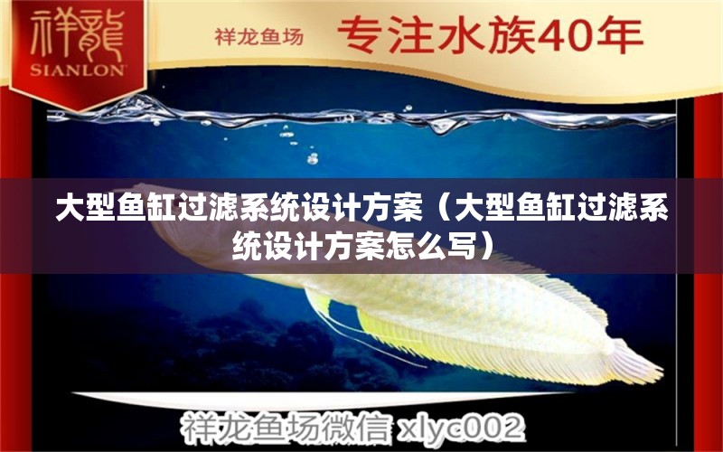 大型魚(yú)缸過(guò)濾系統(tǒng)設(shè)計(jì)方案（大型魚(yú)缸過(guò)濾系統(tǒng)設(shè)計(jì)方案怎么寫(xiě)） 其他品牌魚(yú)缸