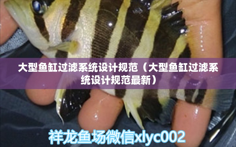 大型魚缸過濾系統(tǒng)設(shè)計(jì)規(guī)范（大型魚缸過濾系統(tǒng)設(shè)計(jì)規(guī)范最新） 魟魚百科