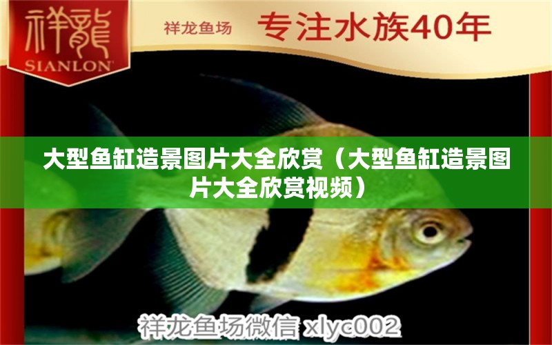 大型魚缸造景圖片大全欣賞（大型魚缸造景圖片大全欣賞視頻） 其他品牌魚缸