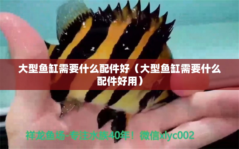 大型魚缸需要什么配件好（大型魚缸需要什么配件好用）