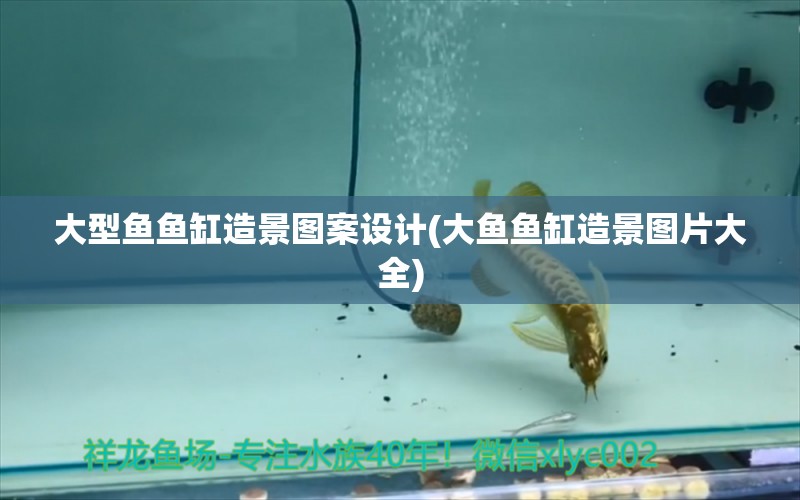 大型魚魚缸造景圖案設(shè)計(大魚魚缸造景圖片大全) 一眉道人魚苗