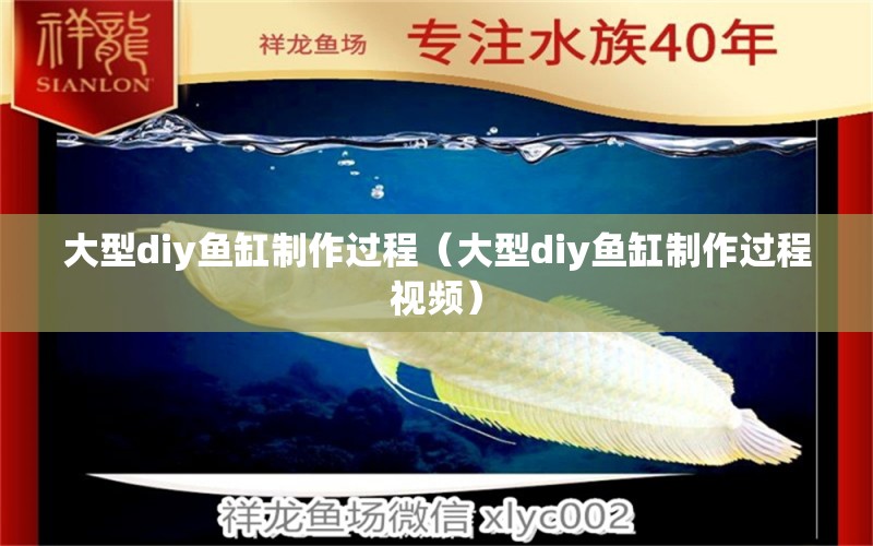 大型diy魚缸制作過程（大型diy魚缸制作過程視頻）