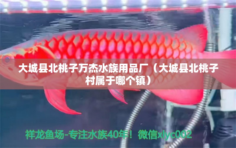 大城縣北桃子萬杰水族用品廠（大城縣北桃子村屬于哪個(gè)鎮(zhèn)） 水族用品