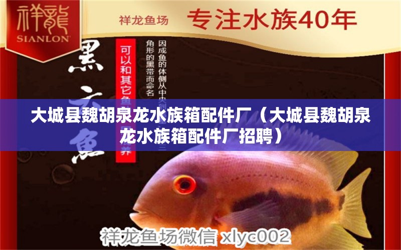 大城縣魏胡泉龍水族箱配件廠（大城縣魏胡泉龍水族箱配件廠招聘）