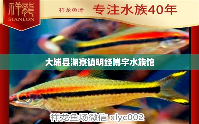 大埔縣湖寮鎮(zhèn)明經(jīng)博宇水族館 全國水族館企業(yè)名錄