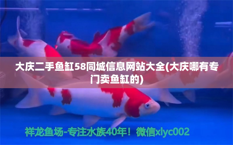 大慶二手魚缸58同城信息網(wǎng)站大全(大慶哪有專門賣魚缸的)