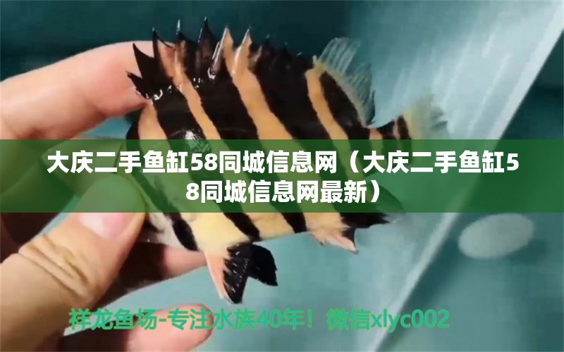 大慶二手魚缸58同城信息網(wǎng)（大慶二手魚缸58同城信息網(wǎng)最新） 電鰻