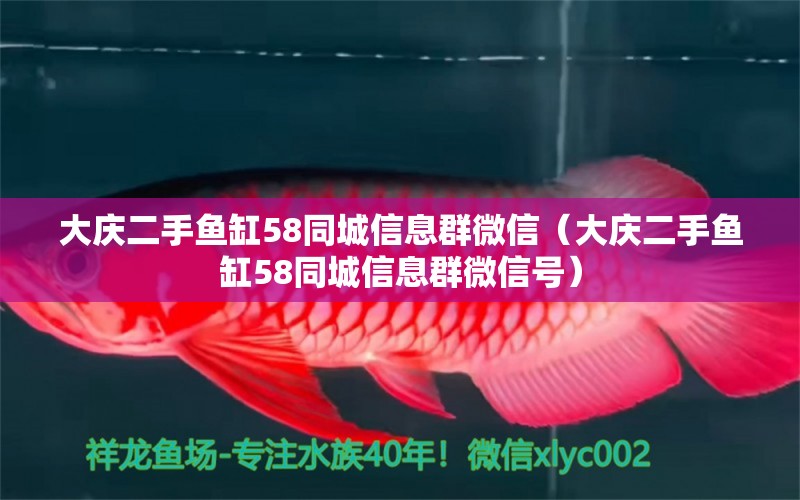 大慶二手魚缸58同城信息群微信（大慶二手魚缸58同城信息群微信號(hào)）