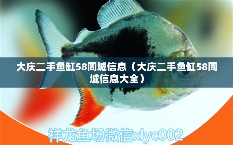 大慶二手魚缸58同城信息（大慶二手魚缸58同城信息大全） 金頭過背金龍魚