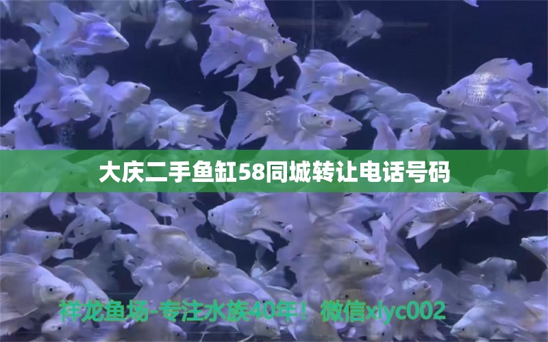 大慶二手魚缸58同城轉(zhuǎn)讓電話號(hào)碼 祥龍魚場