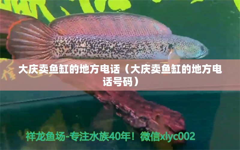 大慶賣魚缸的地方電話（大慶賣魚缸的地方電話號碼）