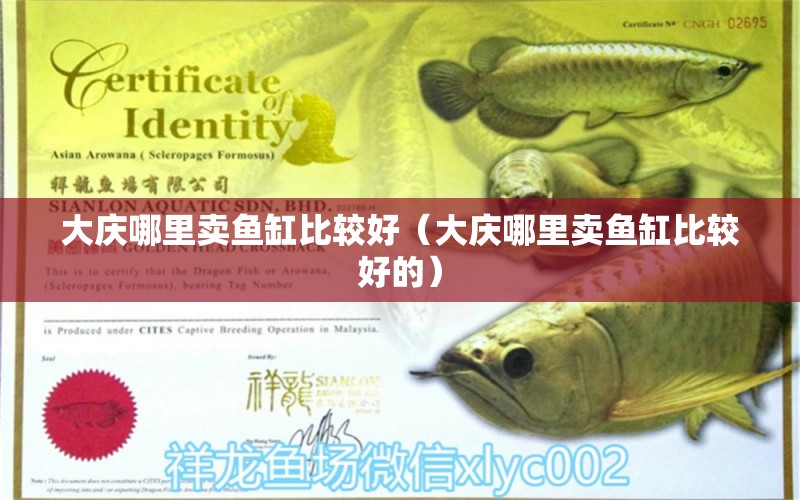 大慶哪里賣魚缸比較好（大慶哪里賣魚缸比較好的）