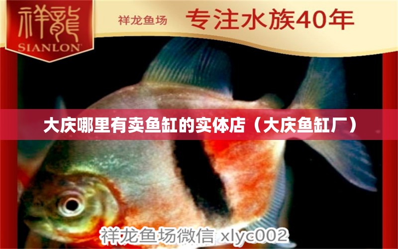 大慶哪里有賣魚缸的實體店（大慶魚缸廠）